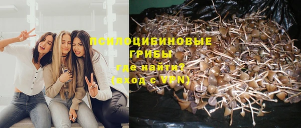 круглые Арсеньев